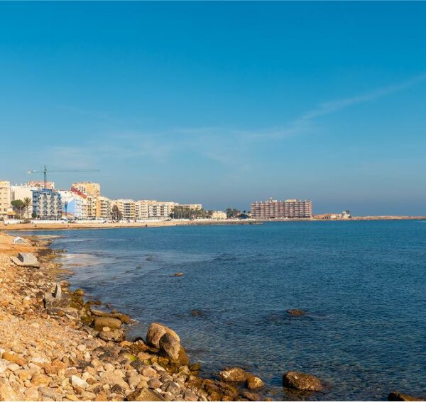 Alicante Essentials - Imagen 4