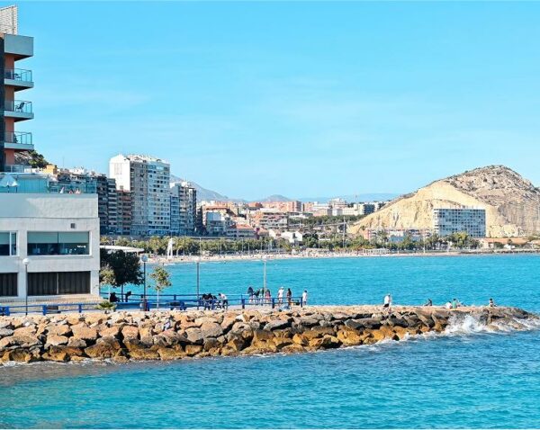 Alicante Essentials